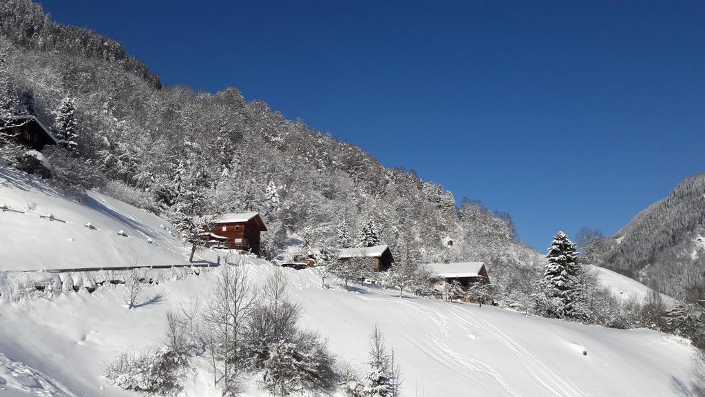 Ferienwohnung Haus Inge Sankt Gallenkirch Exterior foto
